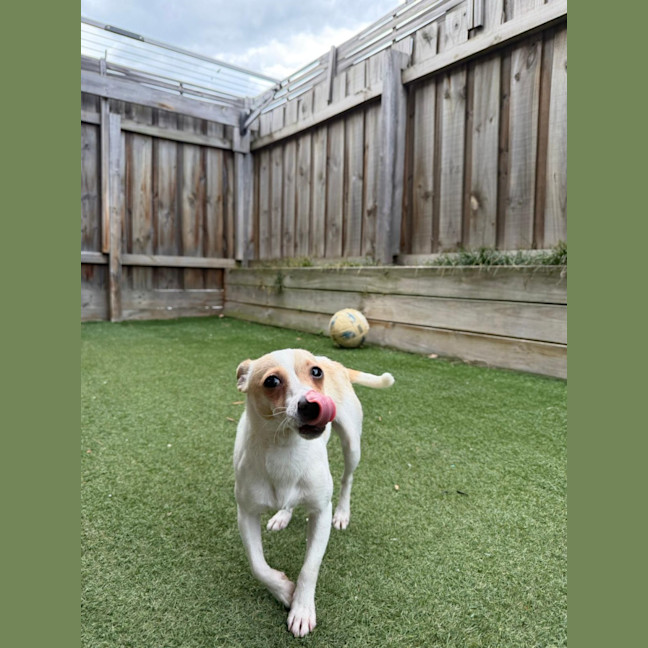 Photo of Miss Stevie