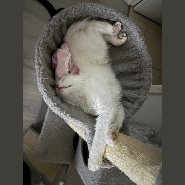 Photo of Yuki