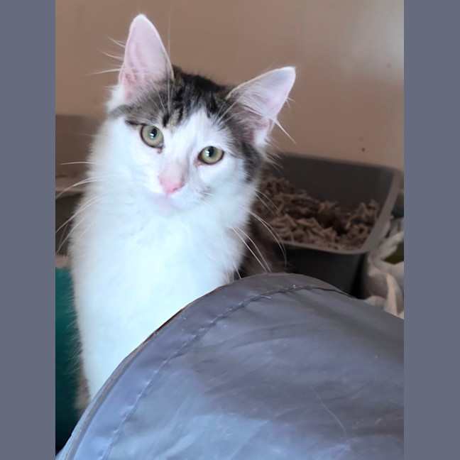Photo of Dotty