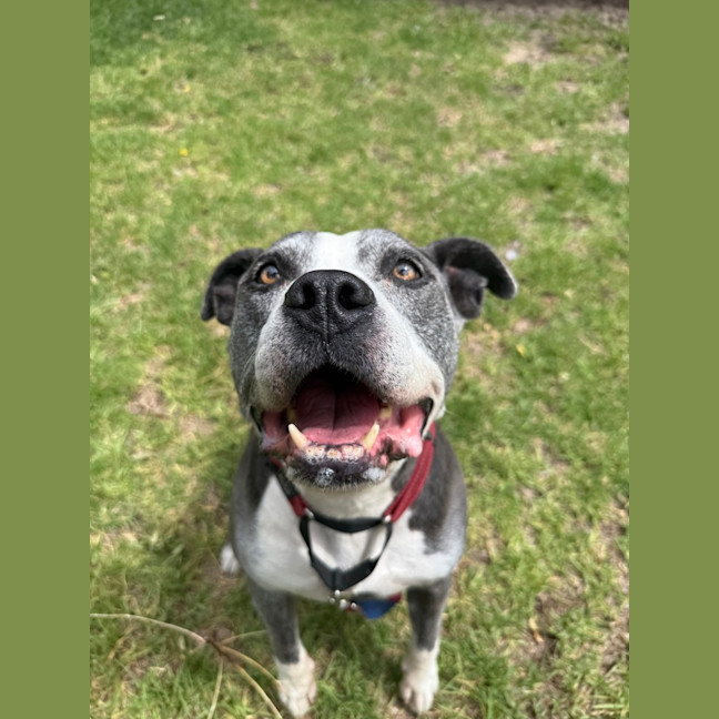 Photo of Tank
