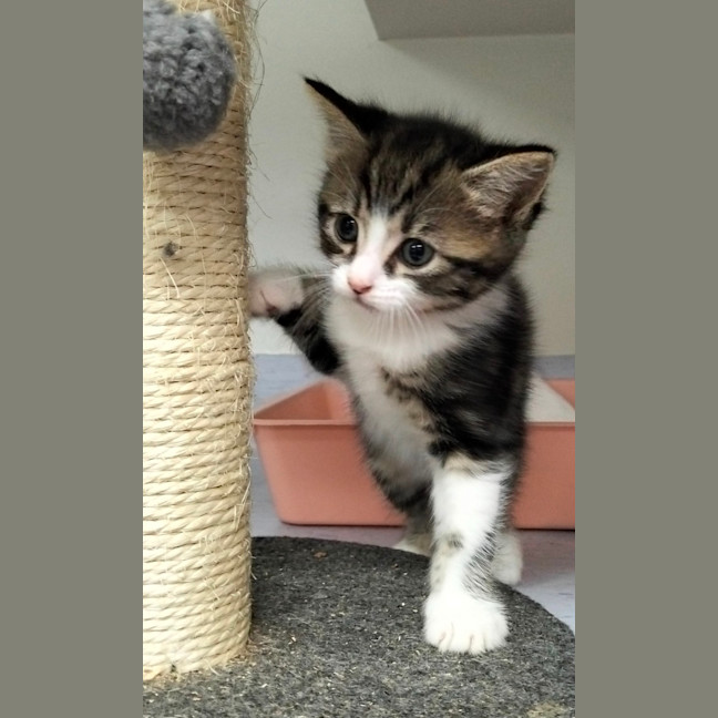 Photo of Ody