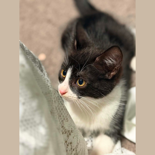 Photo of Miggle