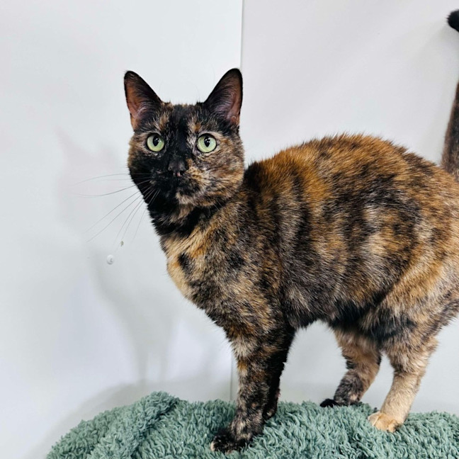 Photo of Kitlyn   Located In Preston