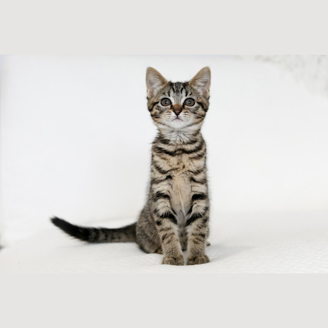 Photo of Milly