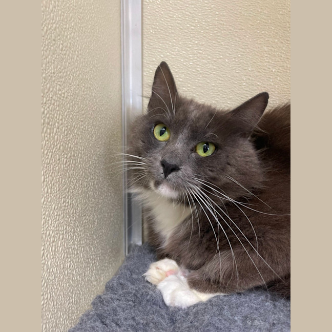 Photo of ✈ Reuben 5603 ✈