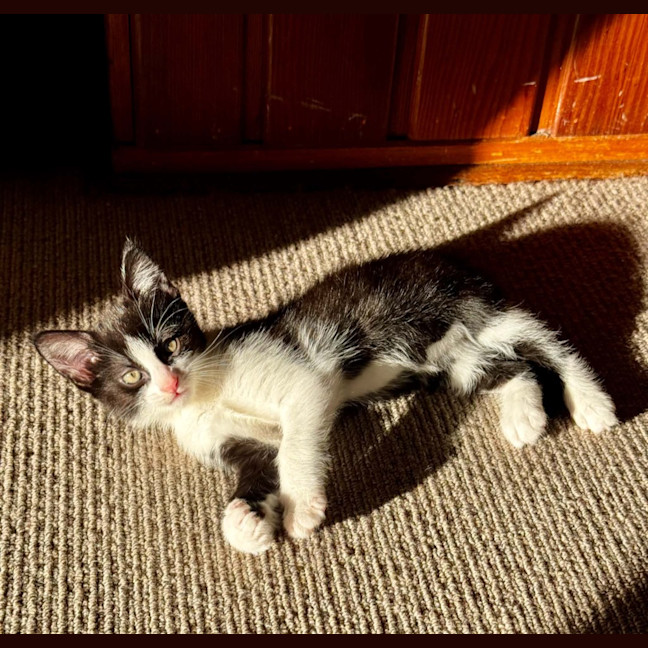 Photo of Steve