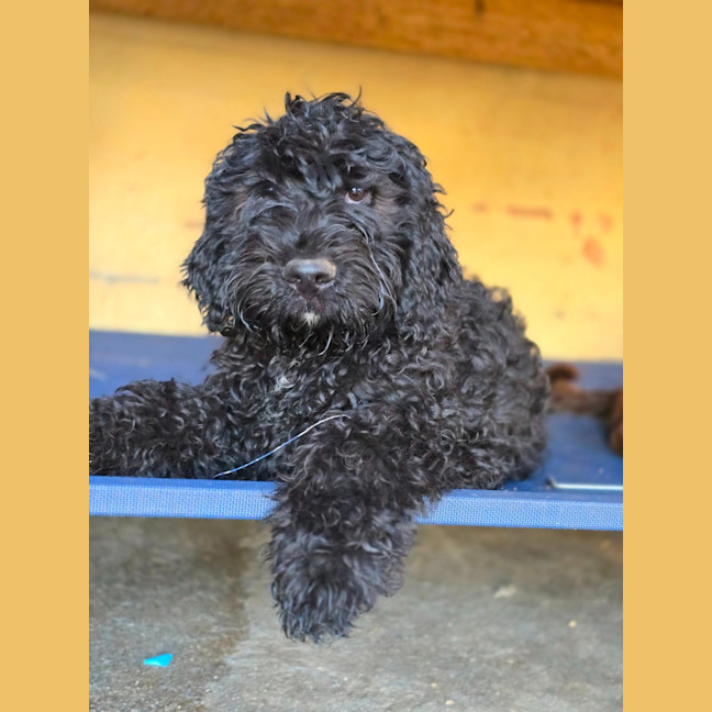 Photo of Prince Edward 