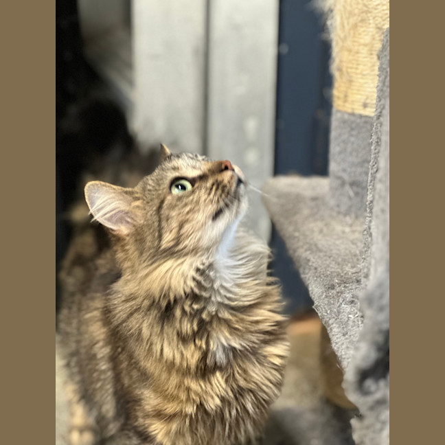 Photo of Zuki