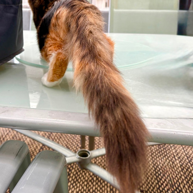 Photo of 💖 Cali 💖