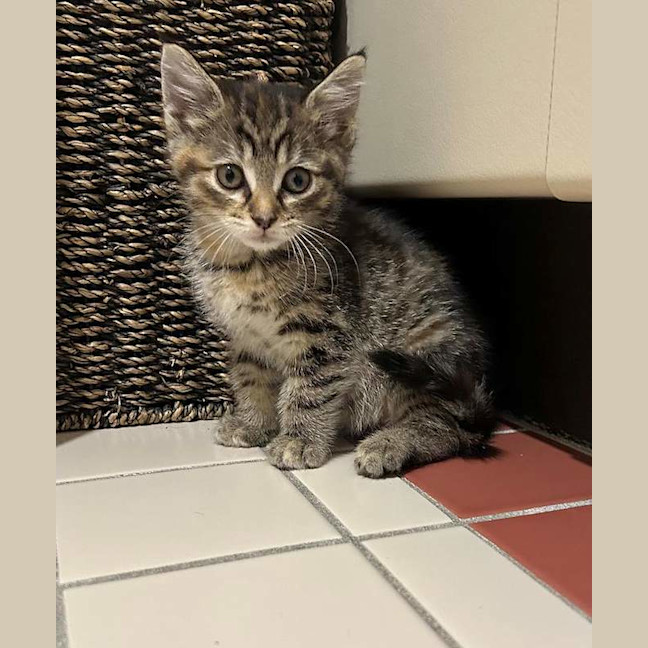 Photo of Cleo