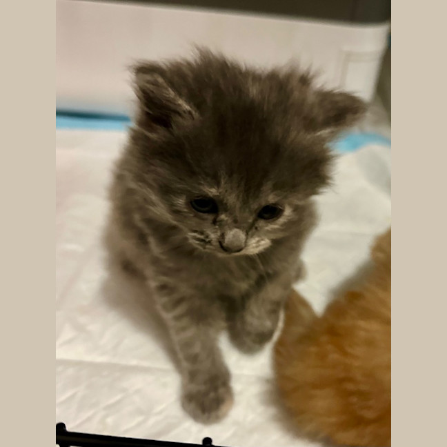 Photo of Binx Clarke