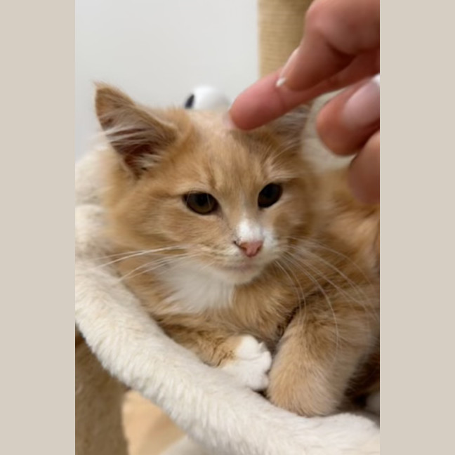 Photo of Teddy & Alexander