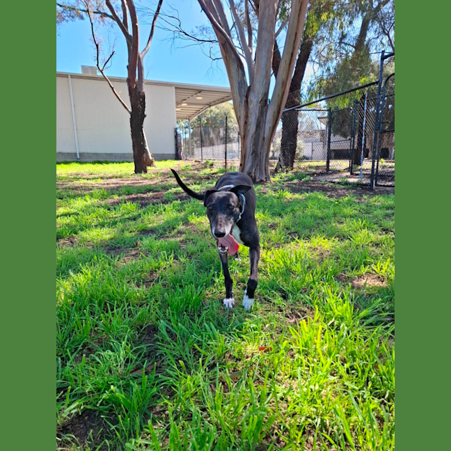 Photo of Tayla