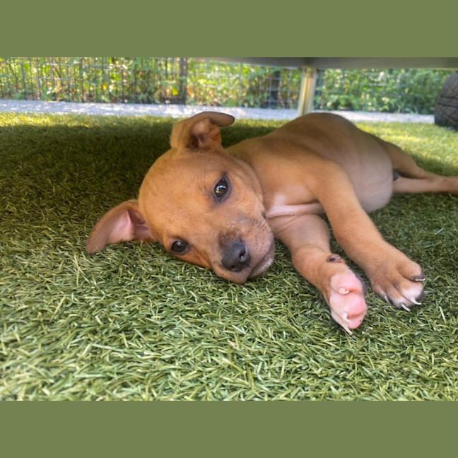 Photo of D1199 Winston