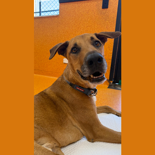 Photo of Kronos