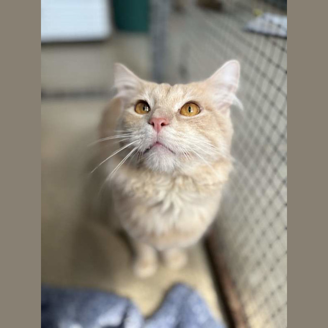 Photo of Buddy