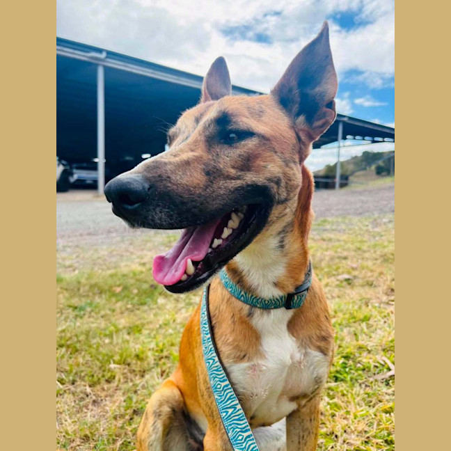 Photo of Jack