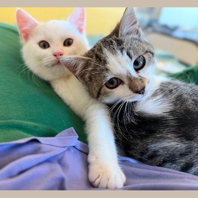 Photo of Emergency Exit