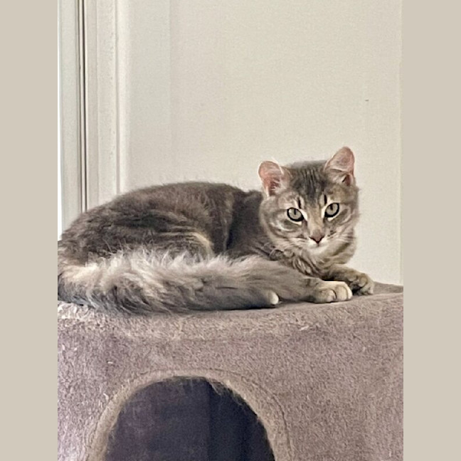 Photo of Thea