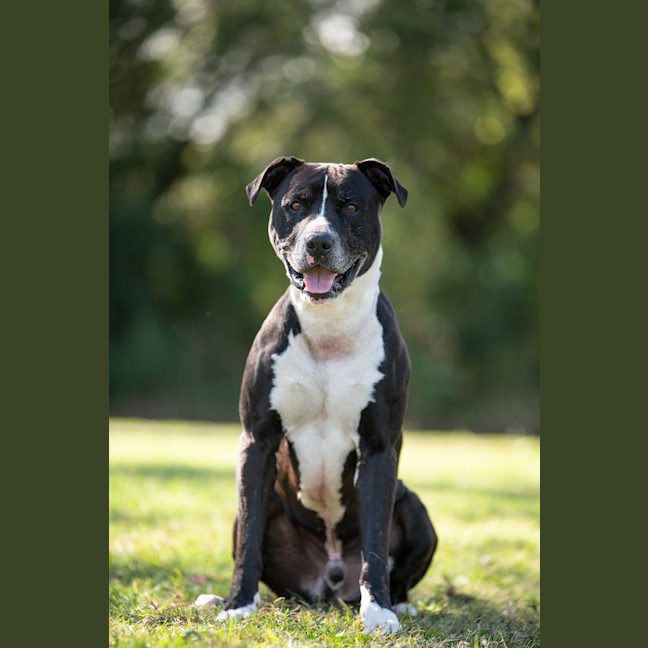 Photo of Jethro