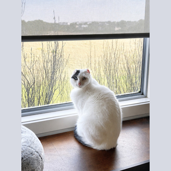 Photo of Jenny