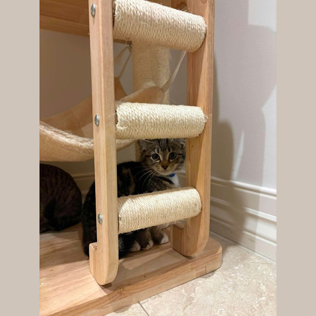 Photo of Suki