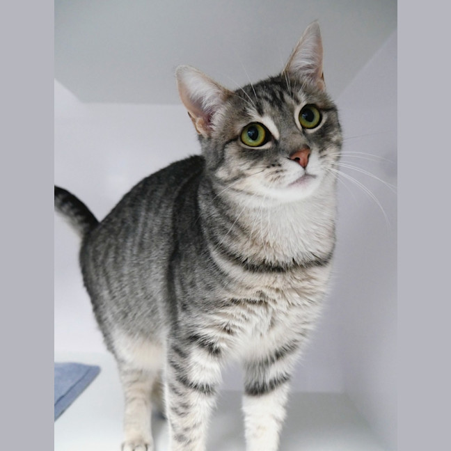 Photo of Harriet Sta013265