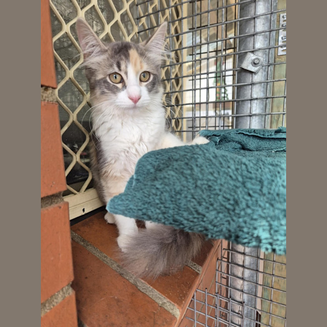 Photo of Ella! ❤️