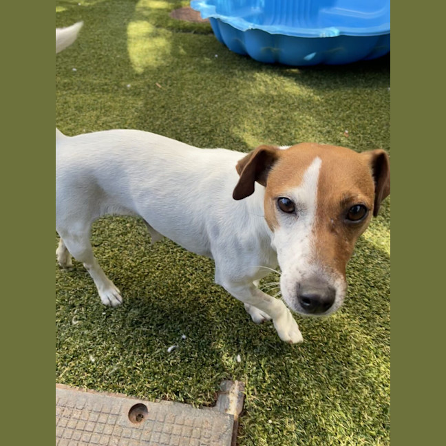 Photo of Millie