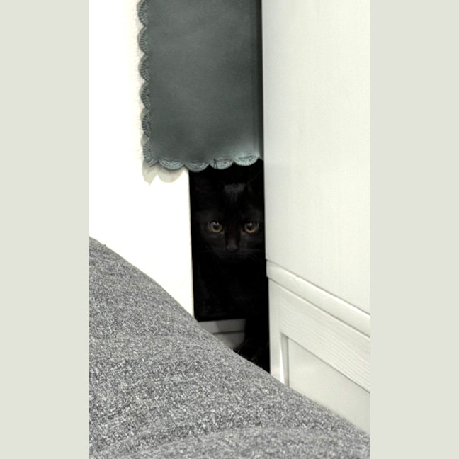 Photo of Lilith