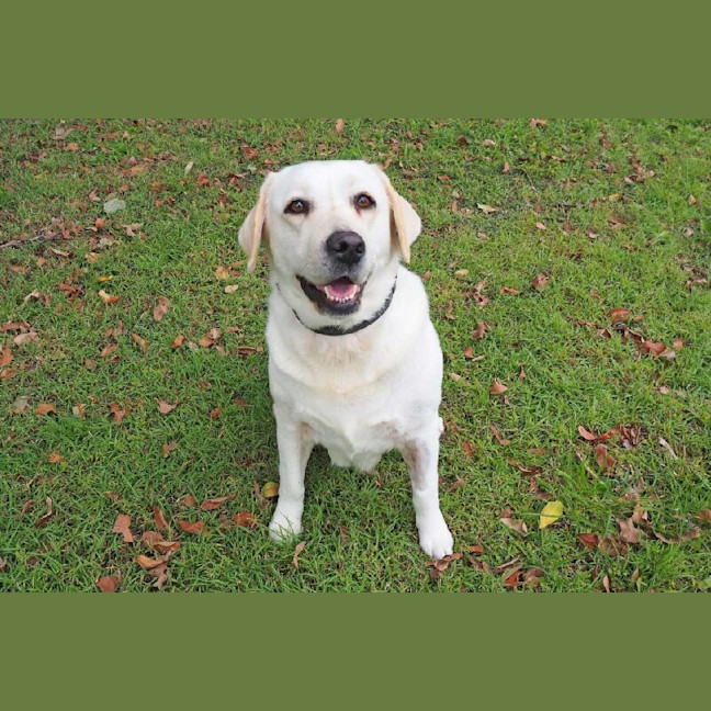 Photo of Heather Now Haven