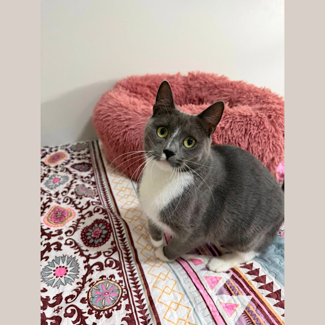 Photo of Priscilla 