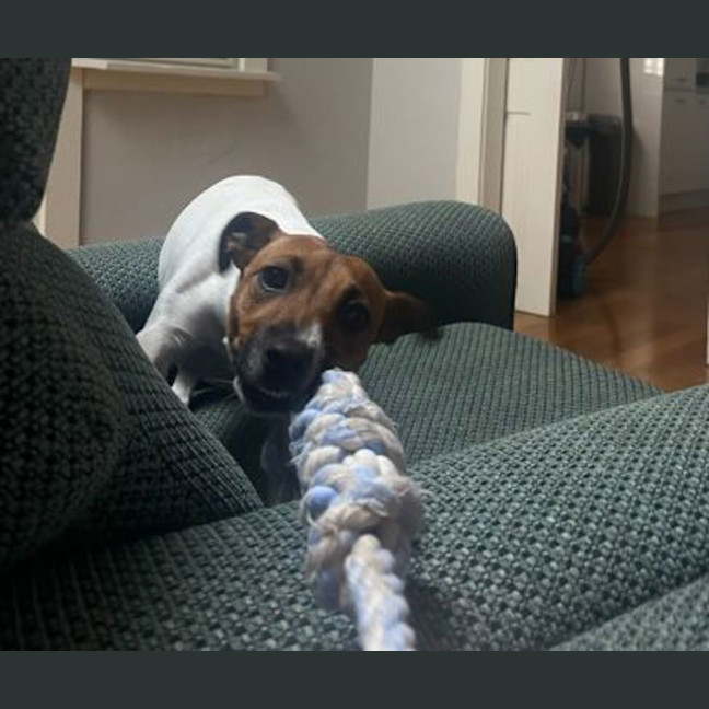Photo of Milly