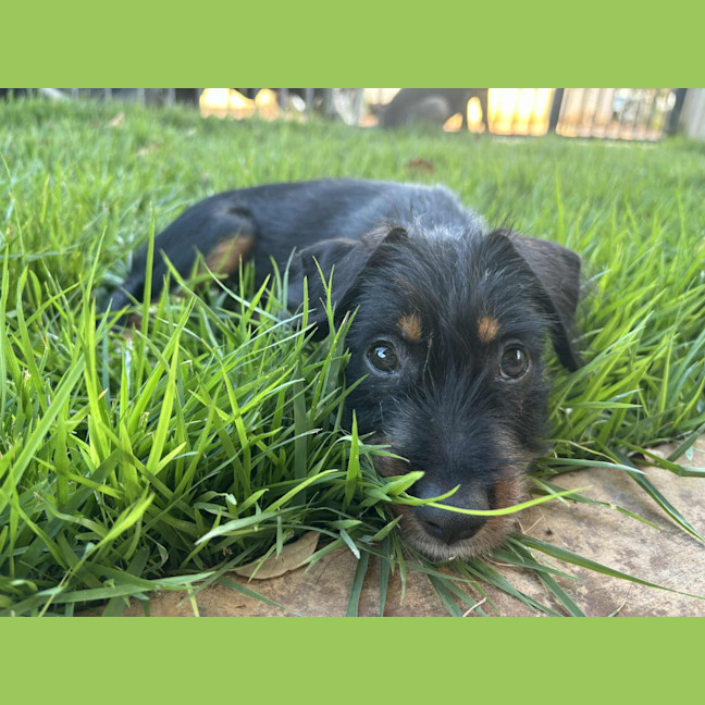 Photo of Tia