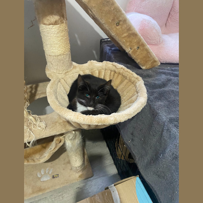 Photo of Astrid & Nova