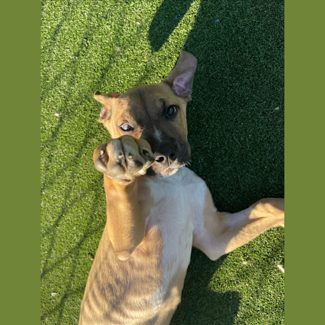 Photo of Cloud Imp 1722