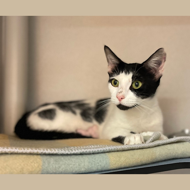 Photo of Seraphina