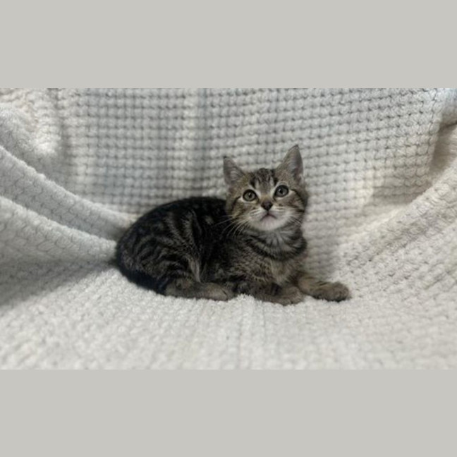 Photo of Steve