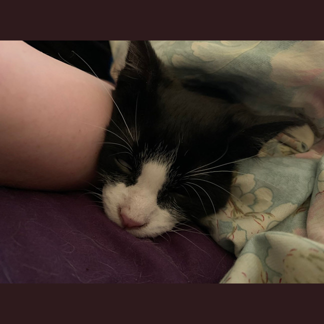 Photo of Maggie