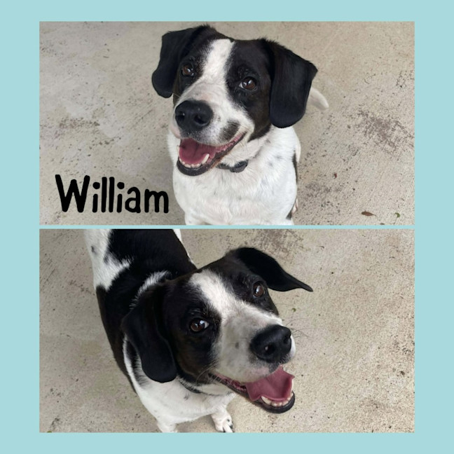 Photo of William