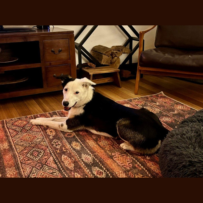 Photo of Xena Uffelman