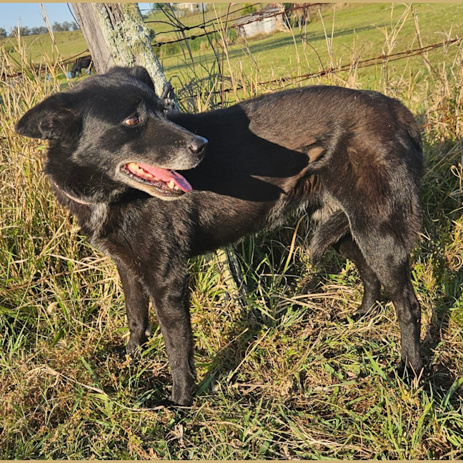 Photo of Zoe