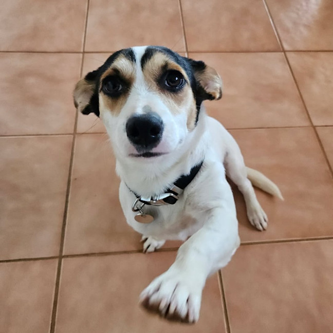 Photo of Leila