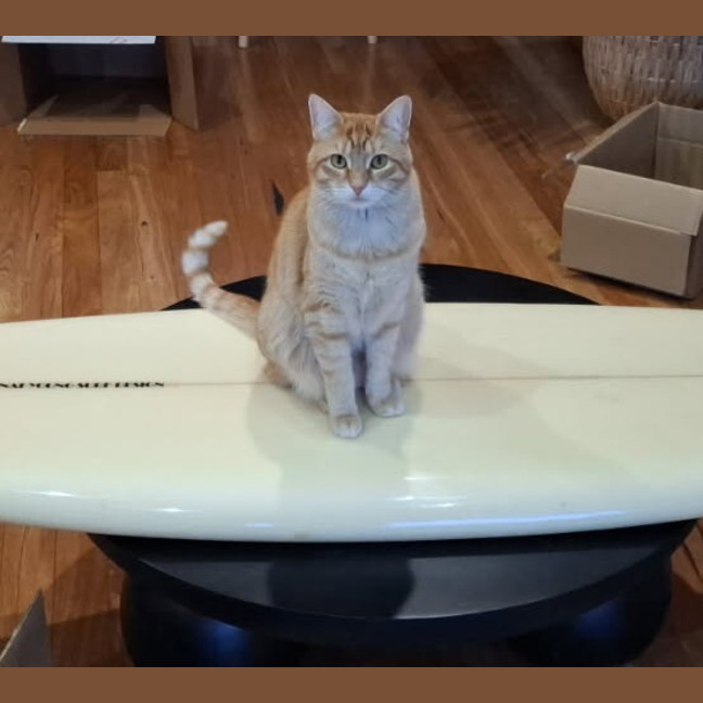 Photo of Rusty