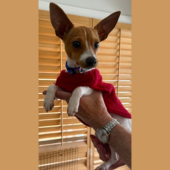Photo of Pablo