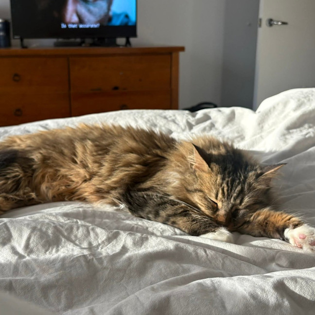 Photo of Daisy