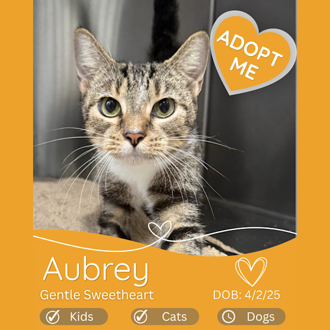 Photo of Aubrey