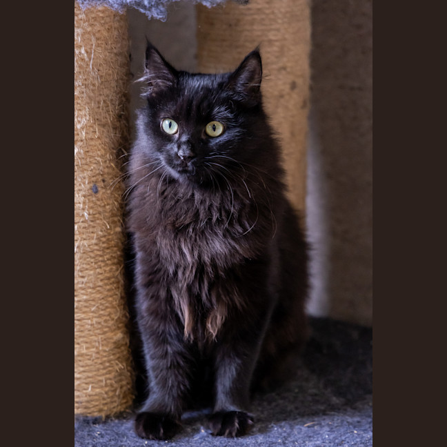 Photo of Natalie Cook