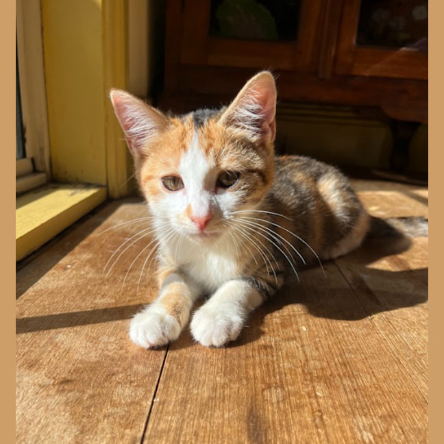 Photo of Lottie & Cindy 🌺🌺