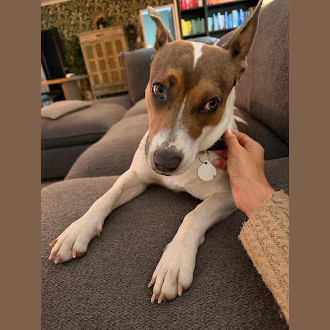 Photo of Indi